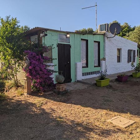 Casa Carlo Villa Alghero Eksteriør bilde