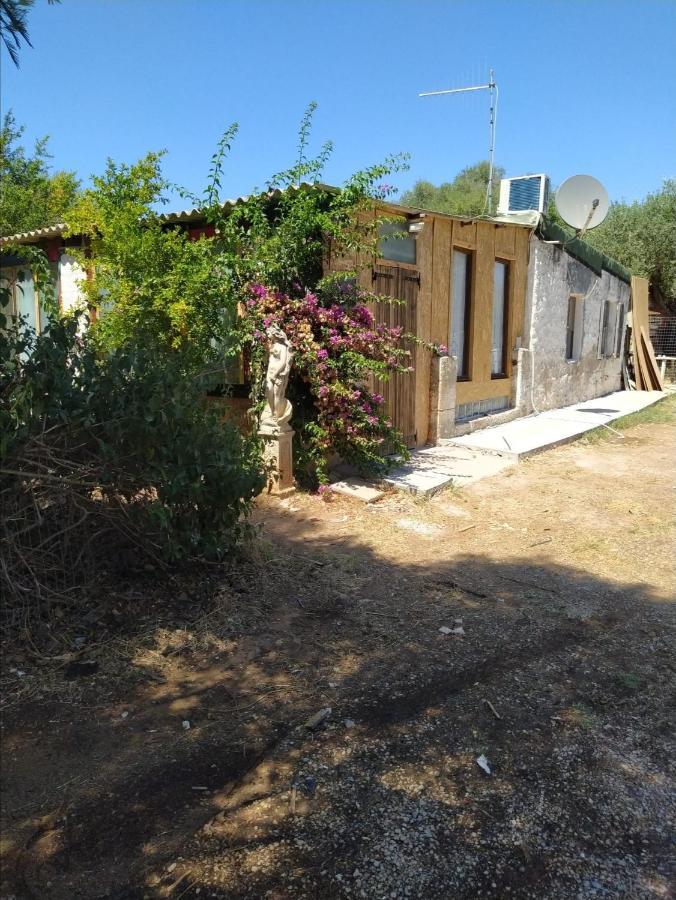 Casa Carlo Villa Alghero Eksteriør bilde