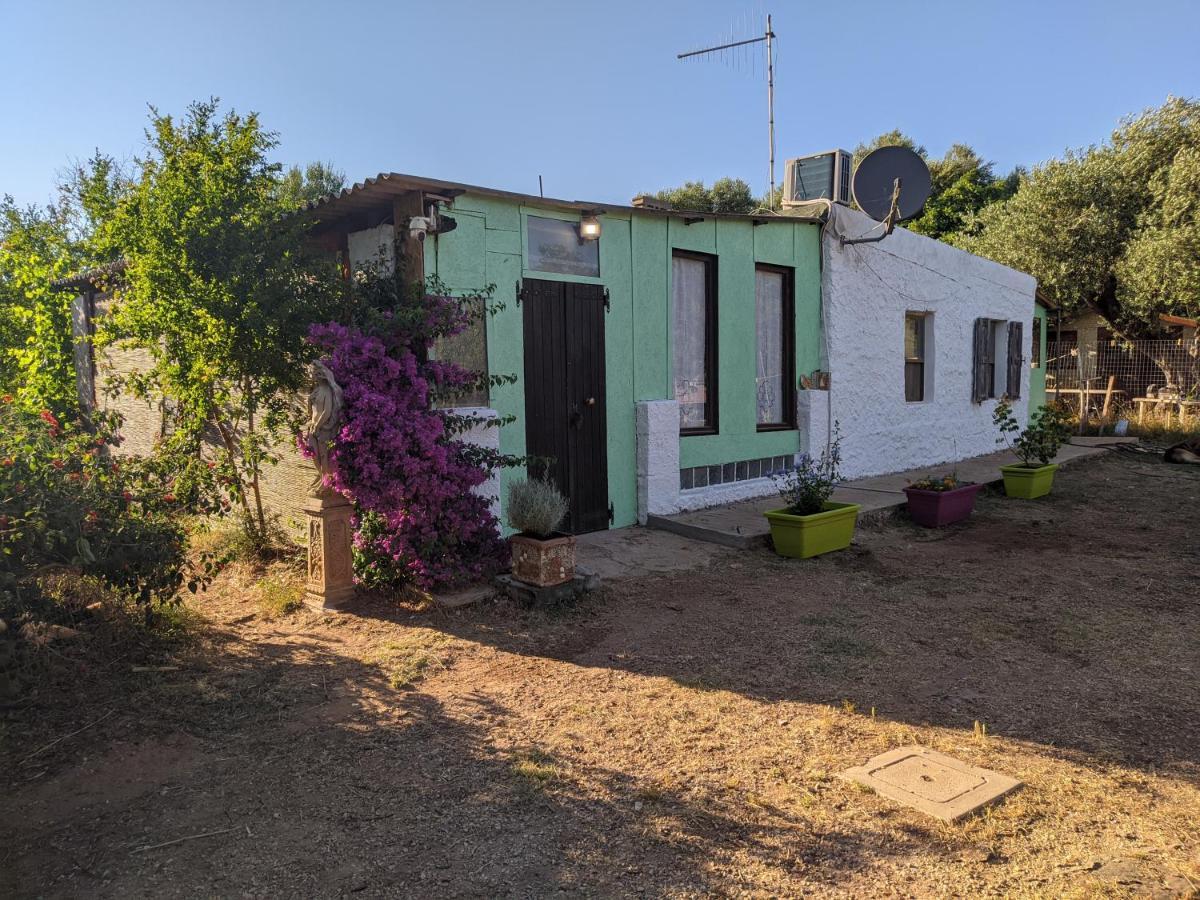 Casa Carlo Villa Alghero Eksteriør bilde